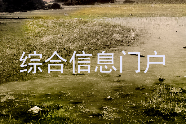 综合信息门户
