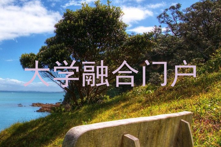 大学融合门户