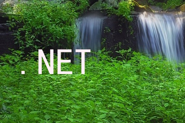 .NET