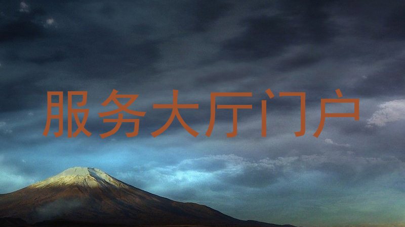 服务大厅门户