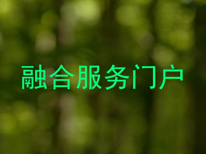 融合服务门户