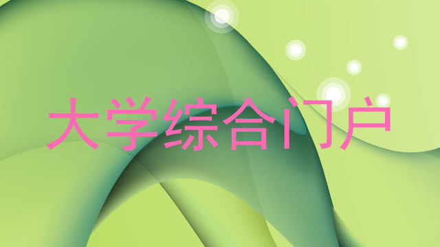 大学综合门户