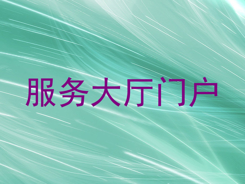 服务大厅门户