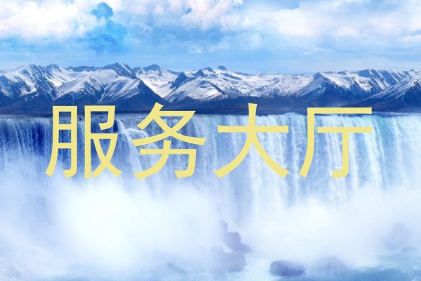 服务大厅