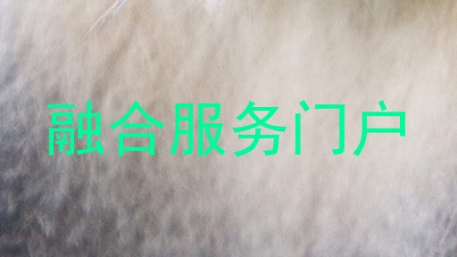 融合服务门户