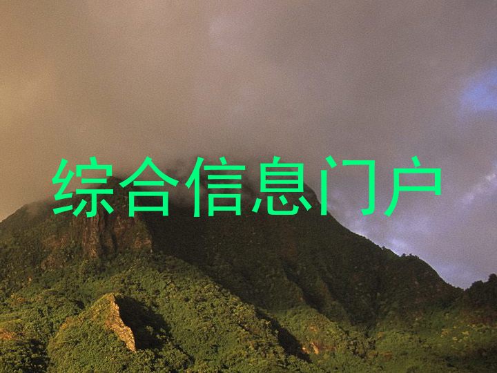 综合信息门户