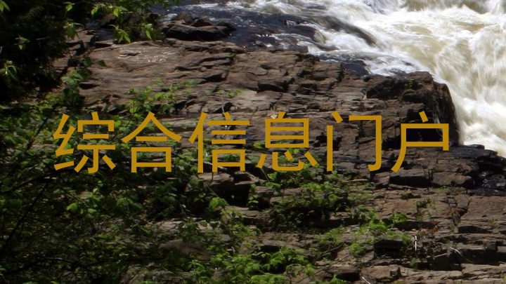 综合信息门户