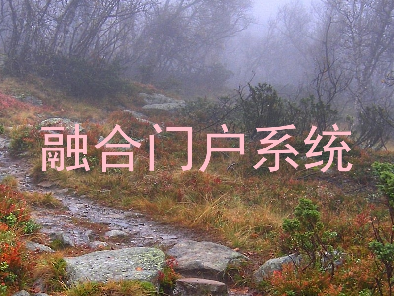 融合门户系统