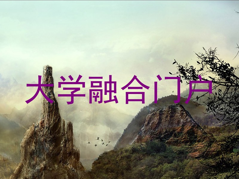 大学融合门户