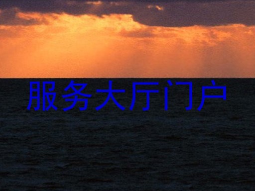 服务大厅门户
