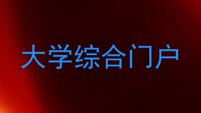 大学综合门户