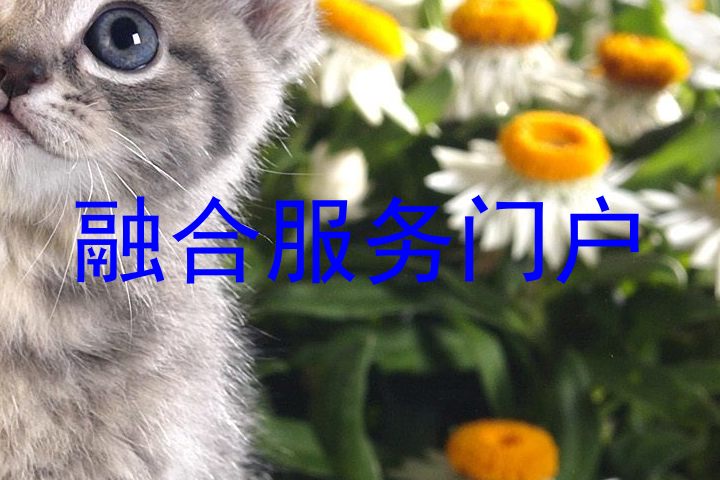 融合服务门户