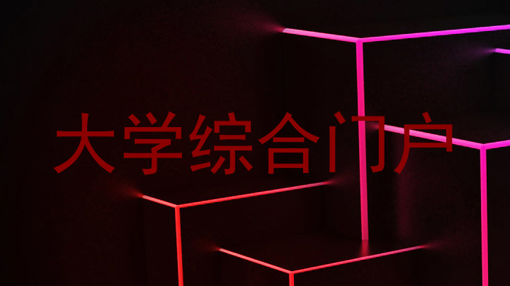 大学综合门户