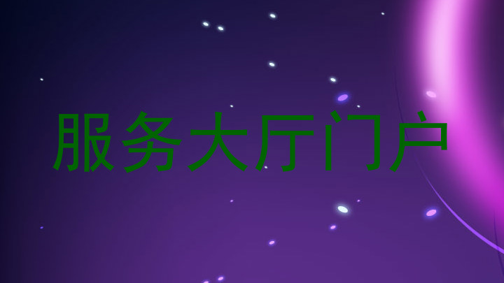 服务大厅门户