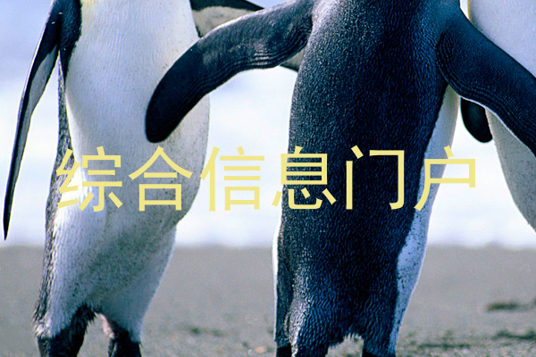 综合信息门户