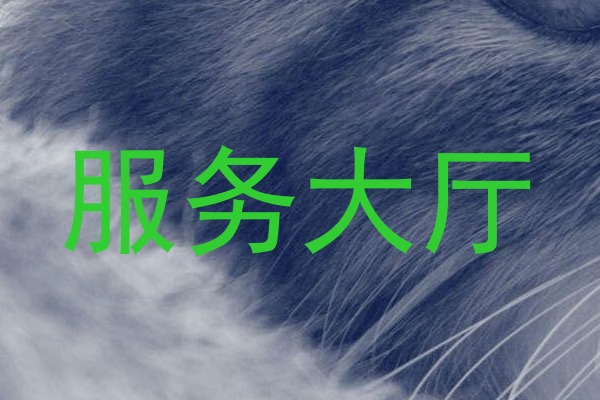 服务大厅
