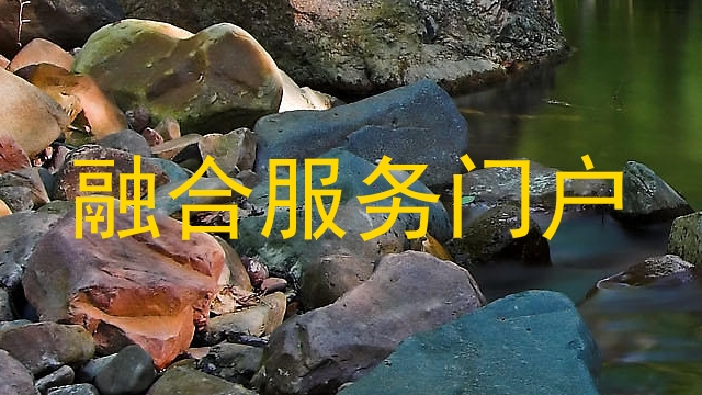 融合服务门户