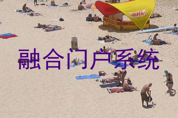 融合门户系统