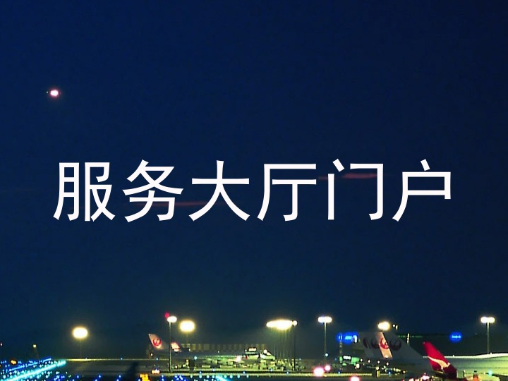 服务大厅门户
