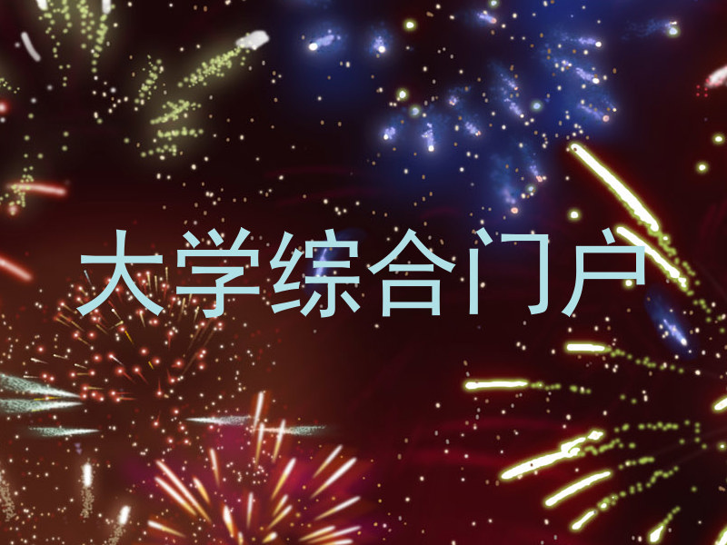 大学综合门户