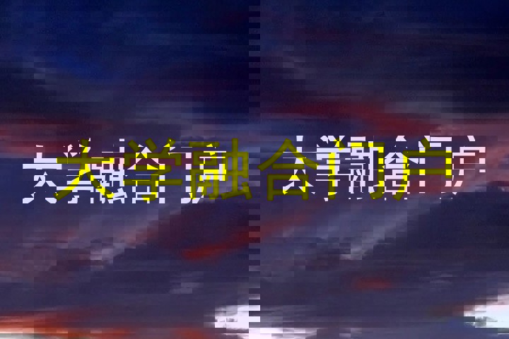 大学融合门户