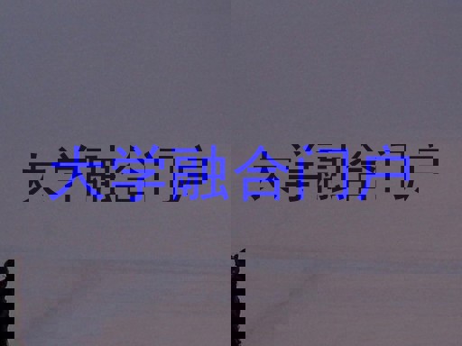 大学融合门户
