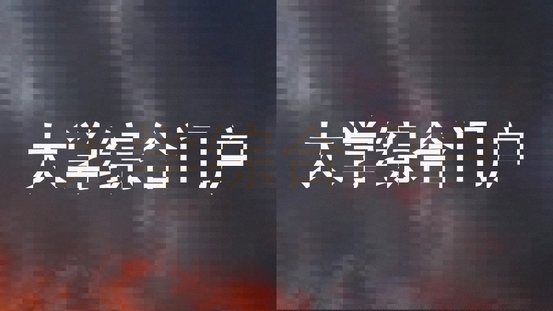 大学综合门户