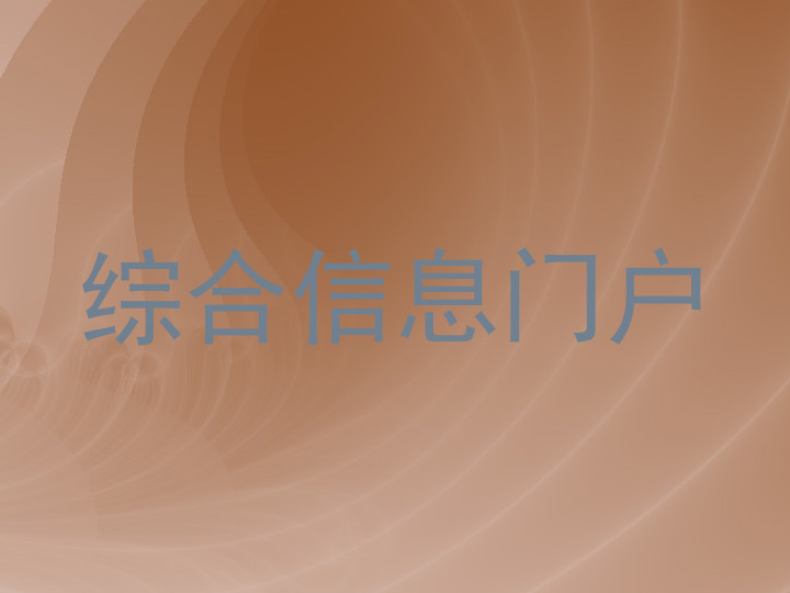 综合信息门户