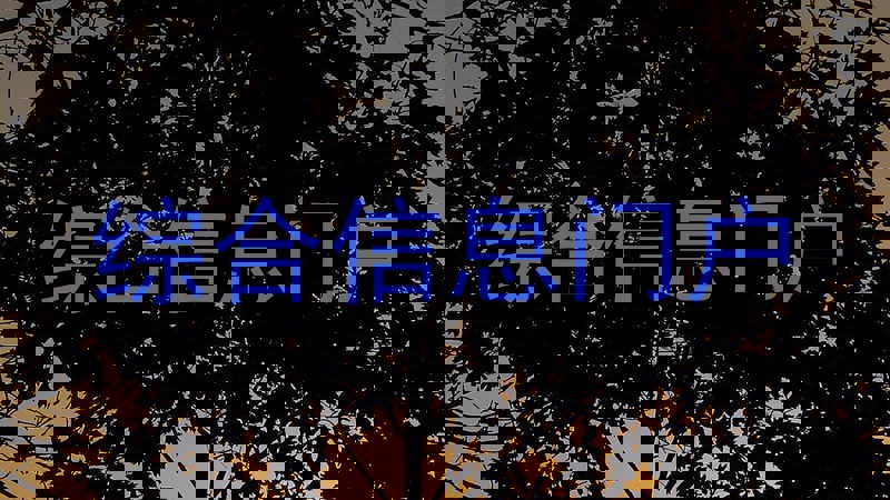 综合信息门户