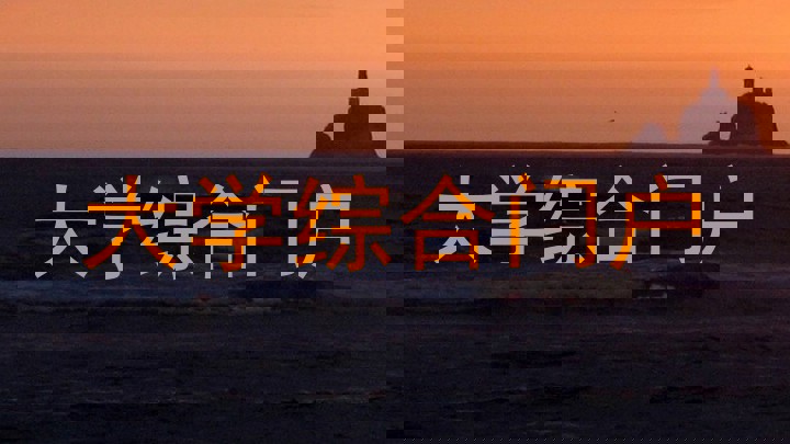 大学综合门户