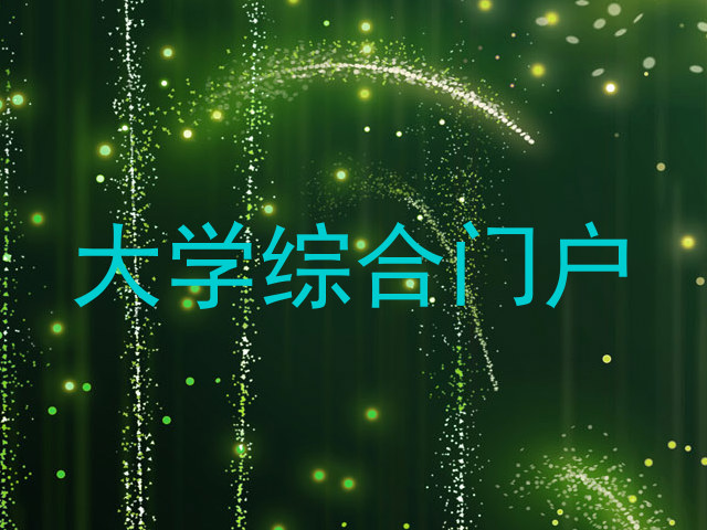 大学综合门户