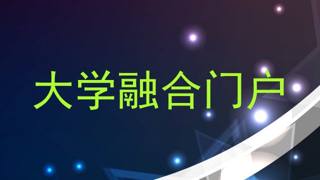大学融合门户