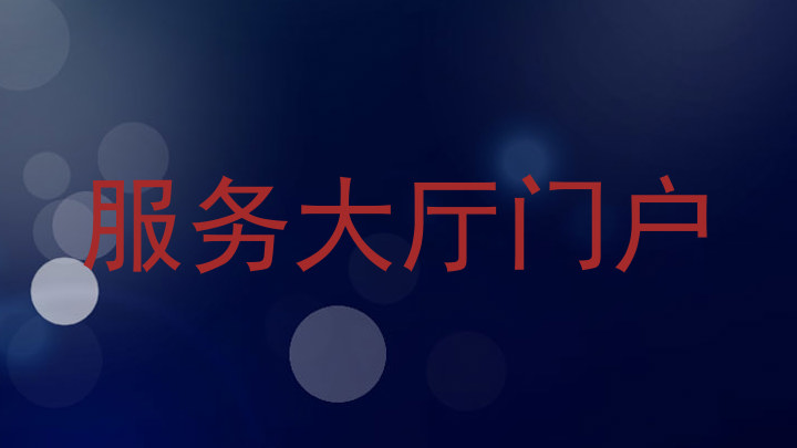 服务大厅门户