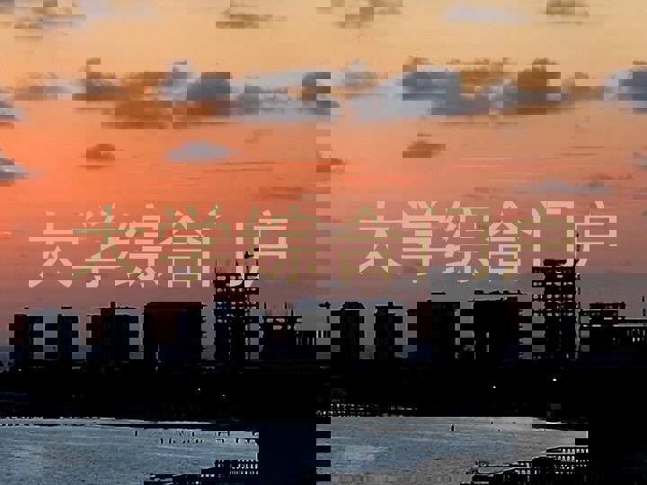 大学综合门户