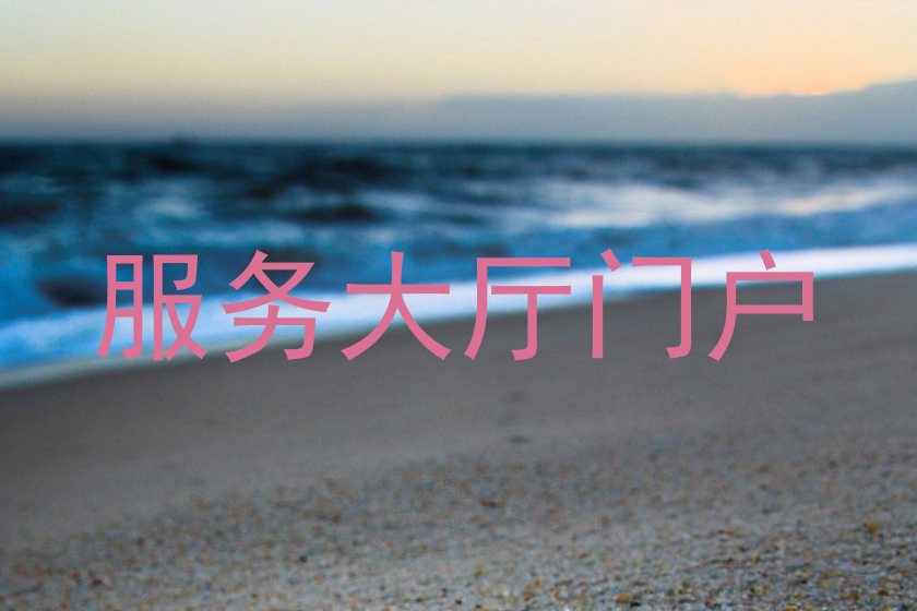 服务大厅门户