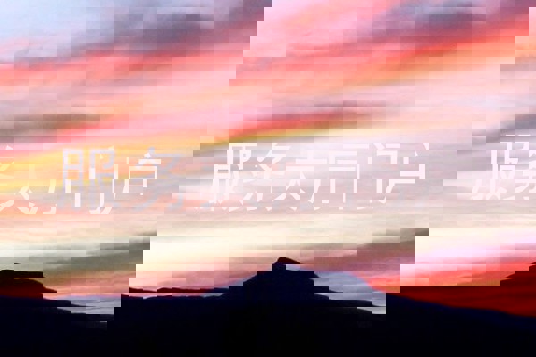 服务大厅门户