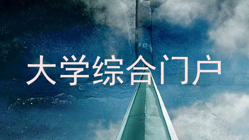 大学综合门户