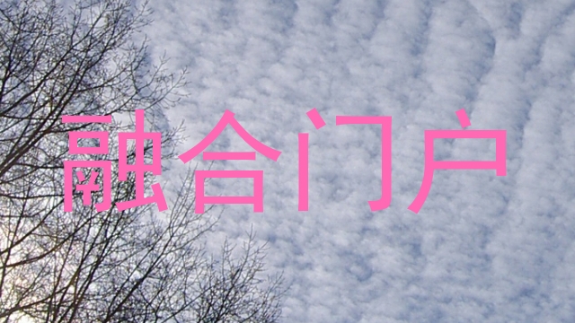 融合门户