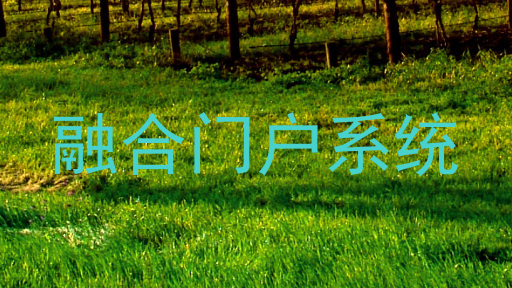 融合门户系统