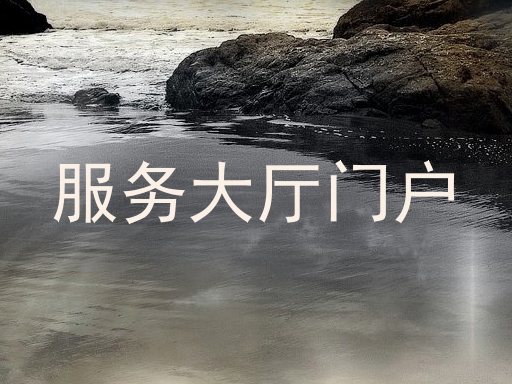 服务大厅门户