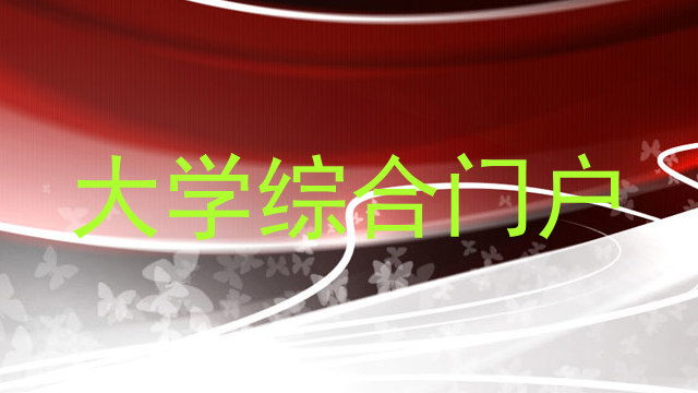 大学综合门户