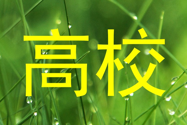 高校
