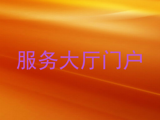 服务大厅门户