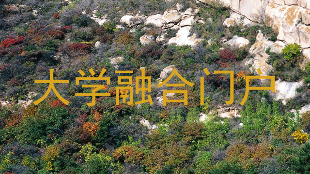 大学融合门户
