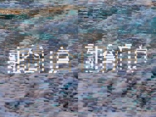 融合门户