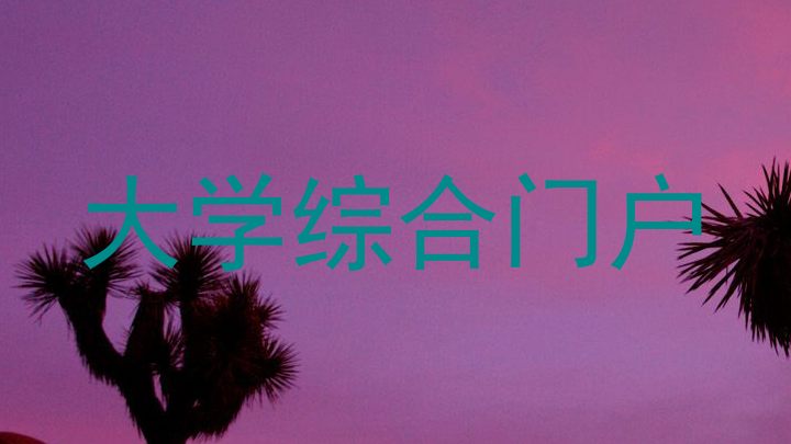 大学综合门户