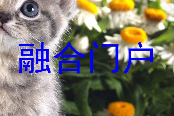 融合门户