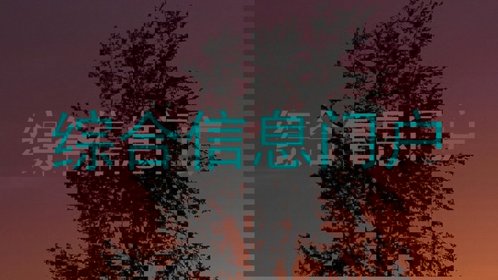 综合信息门户