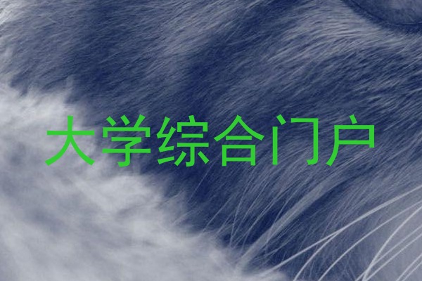大学综合门户