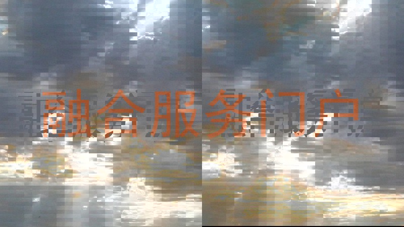 融合服务门户